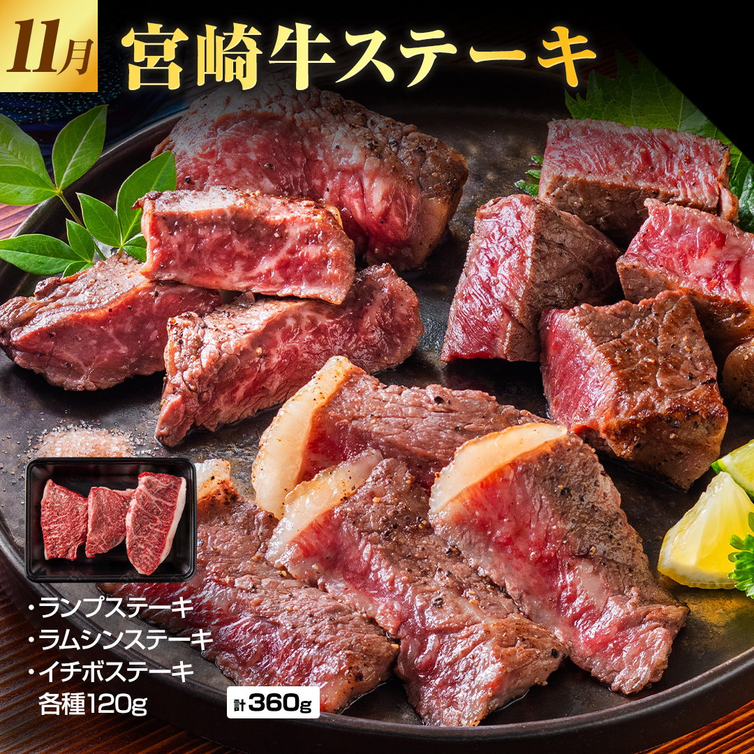 11�� �{�苍�X�e�[�L