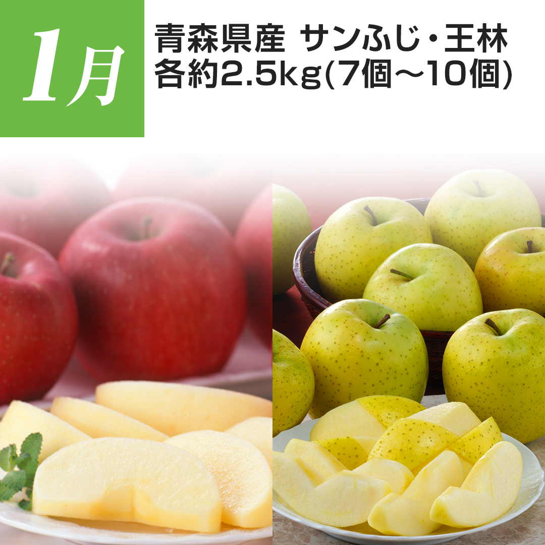 1�� �X���Y �T���ӂ��E���� �e��2.5kg�i7�`10�j