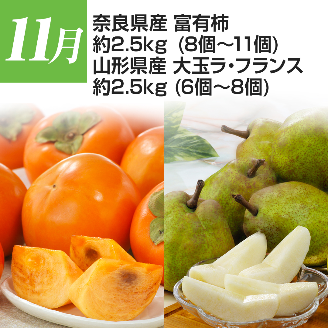 11�� �ޗǌ��Y �x�L�` ��2.5kg�i8�`11�j�R�`���Y ��ʃ��E�t�����X ��2.5kg�i6�`8�j