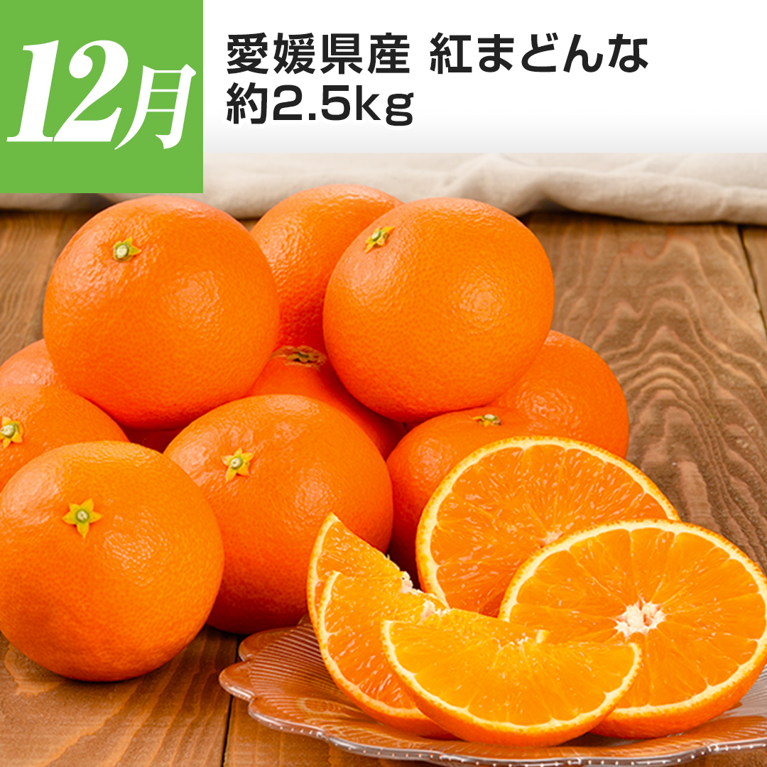 12�� ���Q���Y �g�܂ǂ�� ��2.5kg