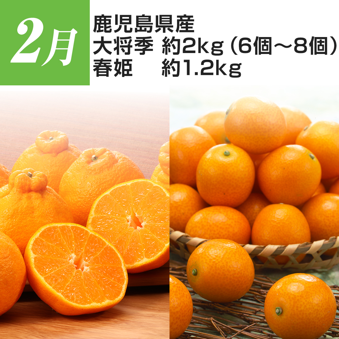 2�� ���������Y �叫�G ��2kg�i6�`8�j �t�P ��1.2kg