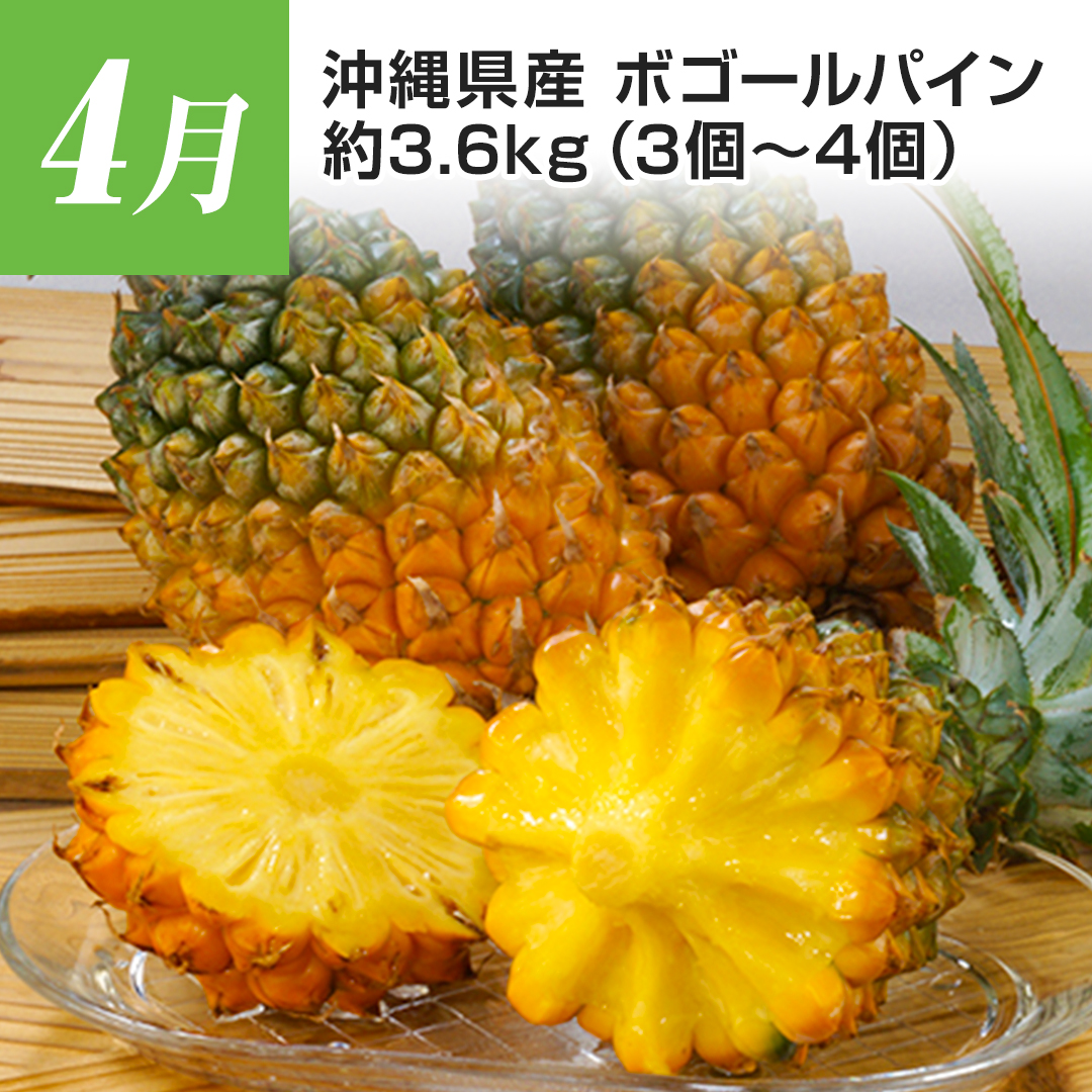 4�� ���ꌧ�Y �{�S�[���p�C�� ��3.6kg�i3�`4�j