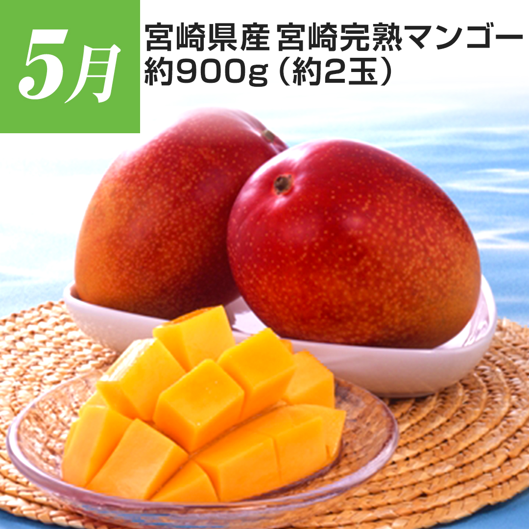5�� �{�茧�Y �{�芮�n�}���S�[ ��900g�i��2�ʁj