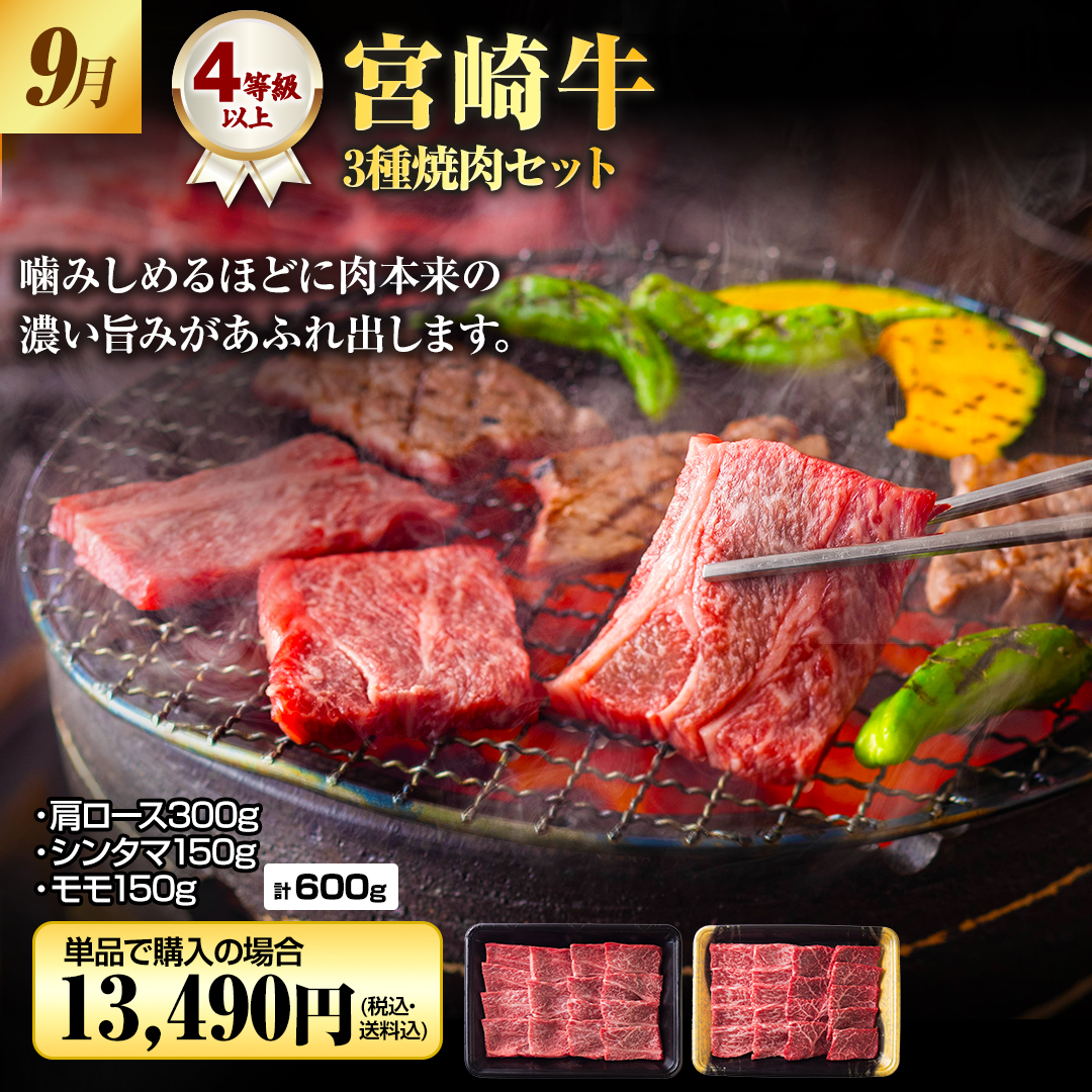 9�� �{�苍 3��ē��Z�b�g