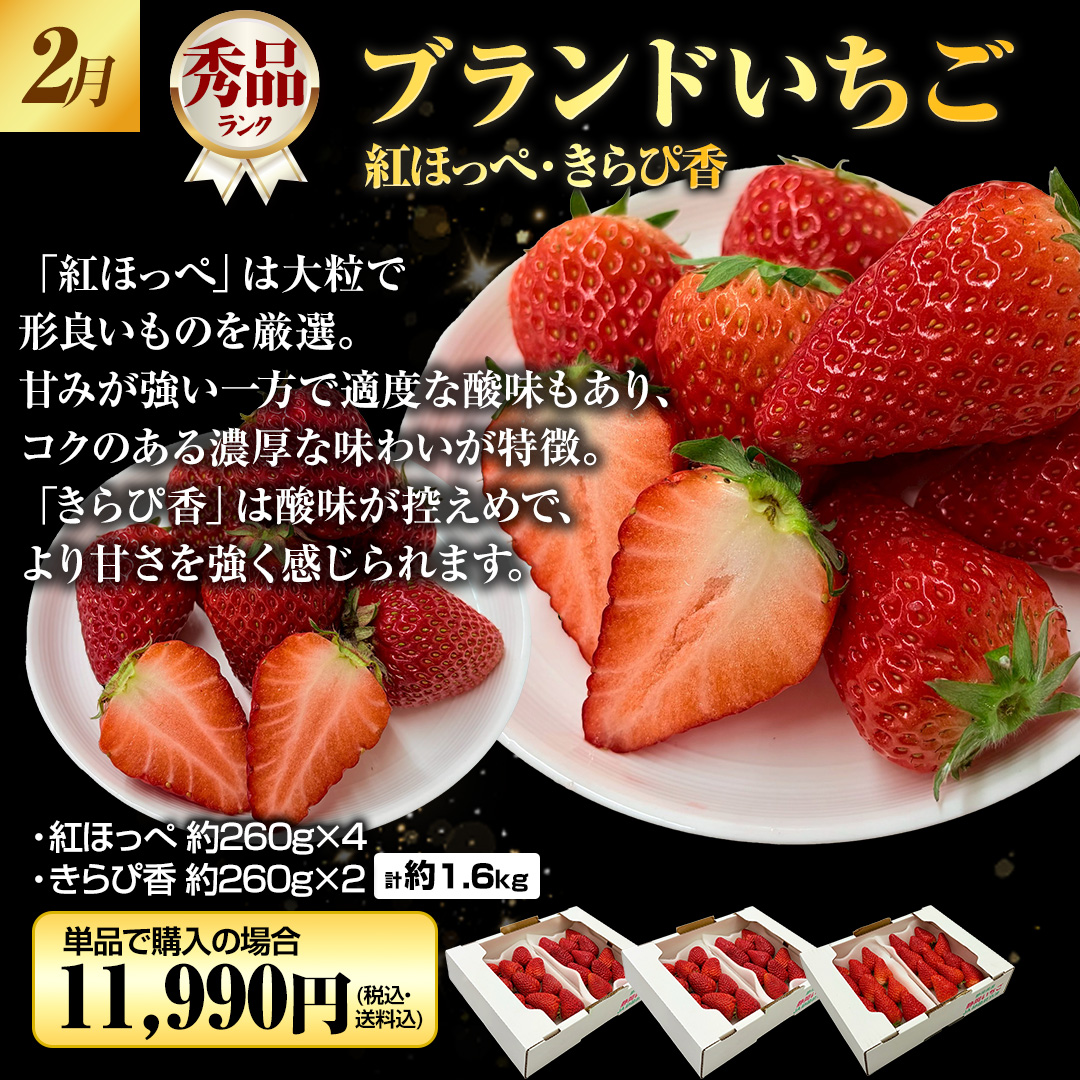 2�� �u�����h������ �g�ق��؁E����ҍ�