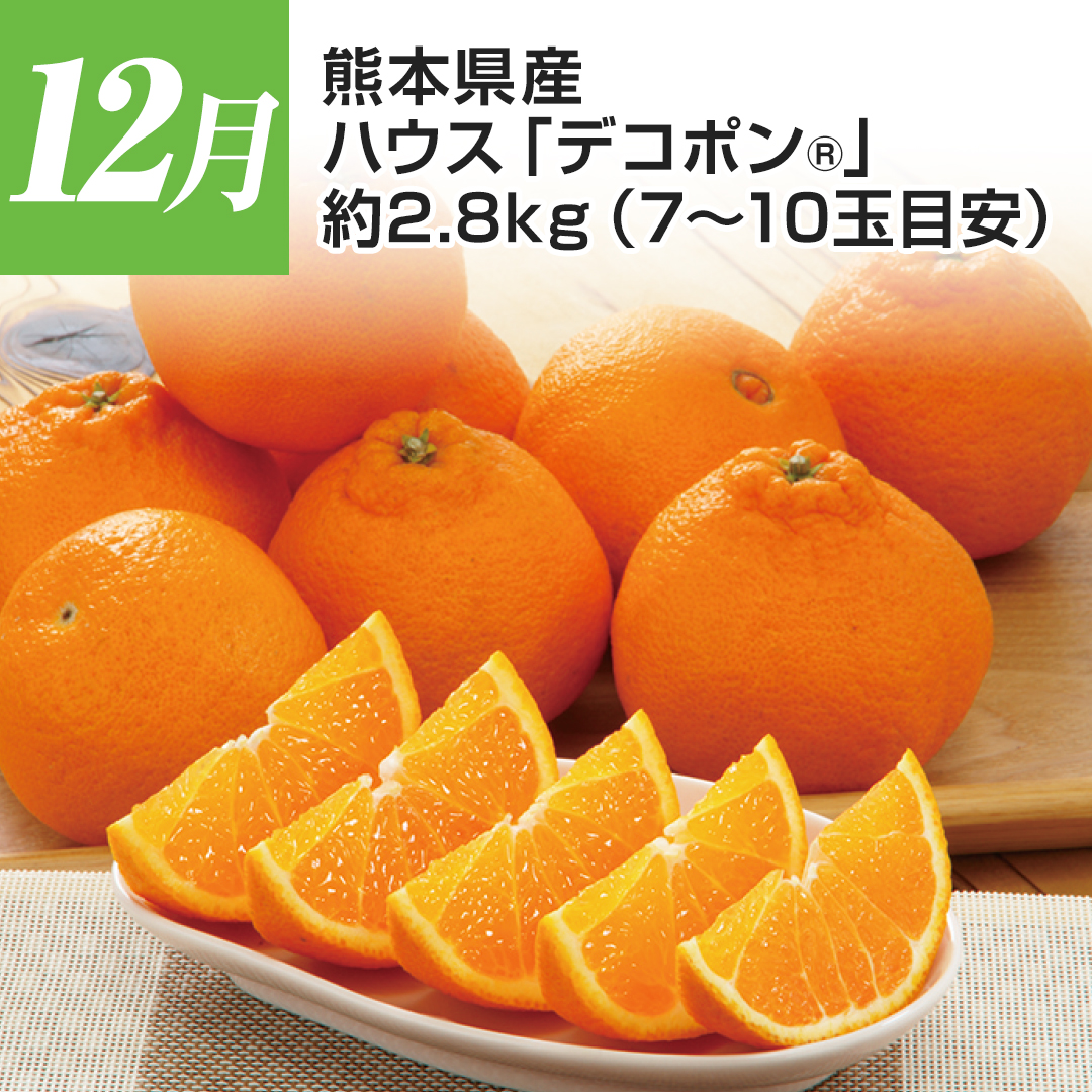 12���@�F�{���Y�@�n�E�X�u�f�R�|��&reg;�v�@��2.8kg�i7�`10�ʖڈ��j