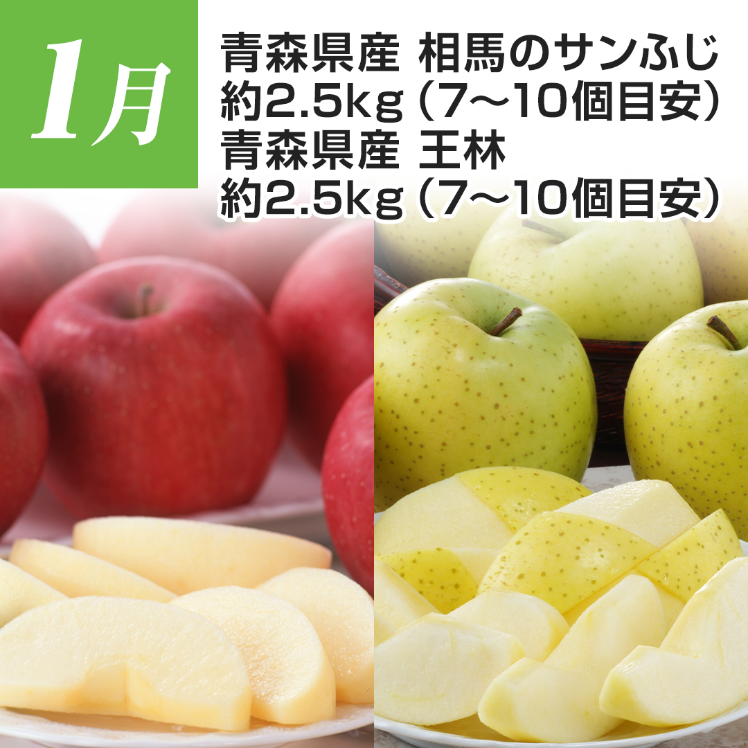 1���@�X���Y�@���n�̃T���ӂ��@��2.5kg�i7�`10�ڈ��j�@�X���Y�@���с@��2.5kg�i7�`10�ڈ��j