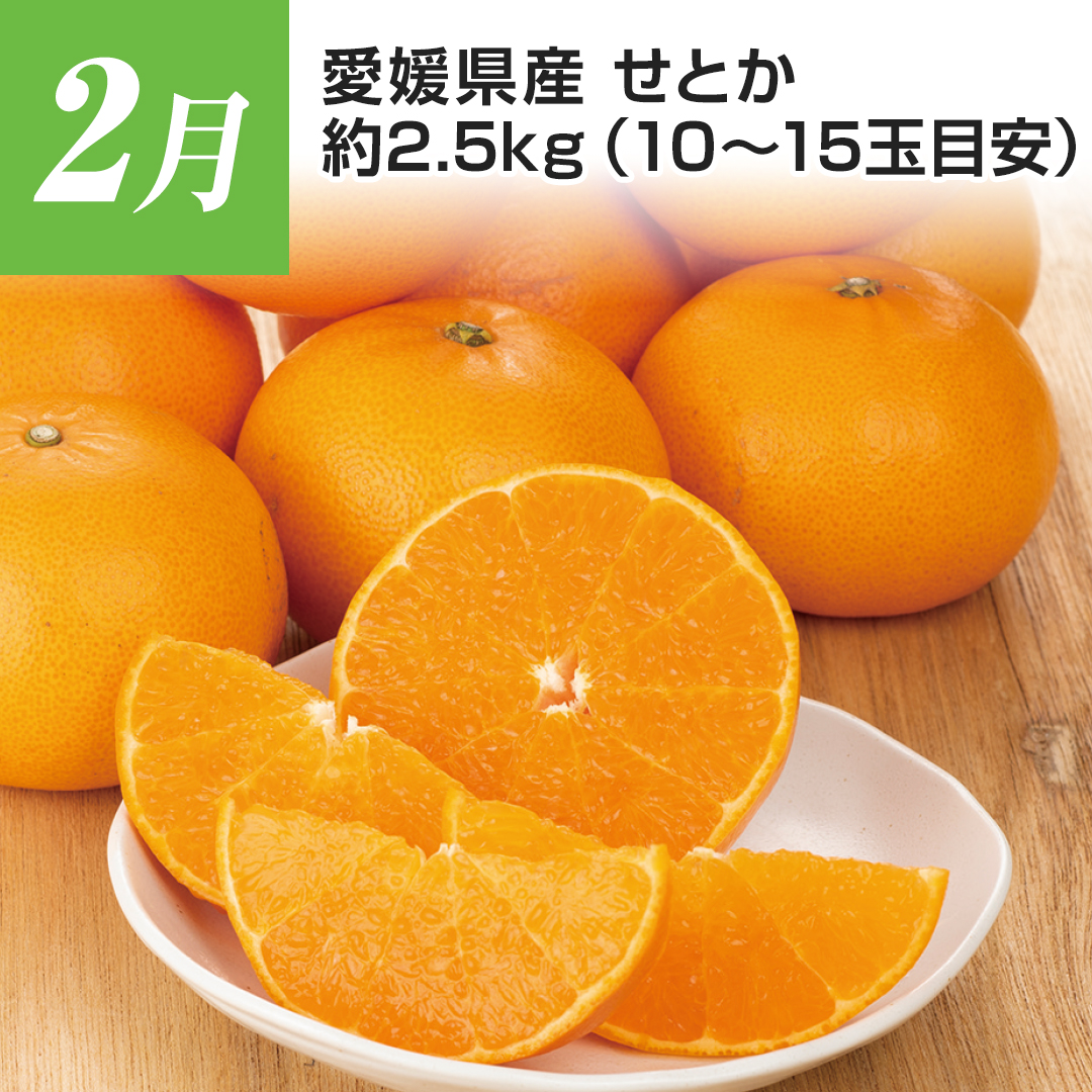 2���@���Q���Y�@���Ƃ��@��2.5kg�i10�`15�ʖڈ��j