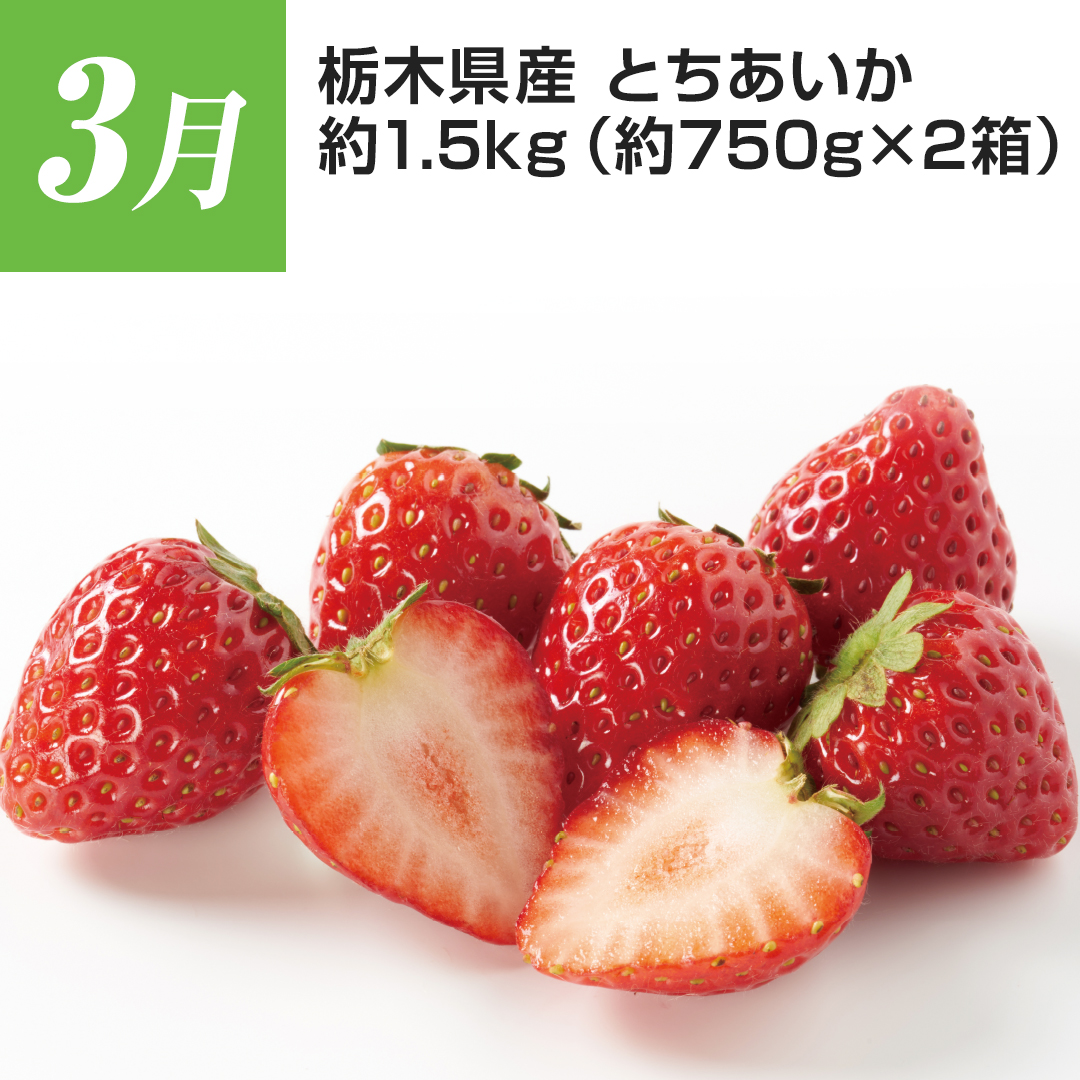 3���@�Ȗ،��Y�@�Ƃ��������@��1.5kg�i��750g�~2���j