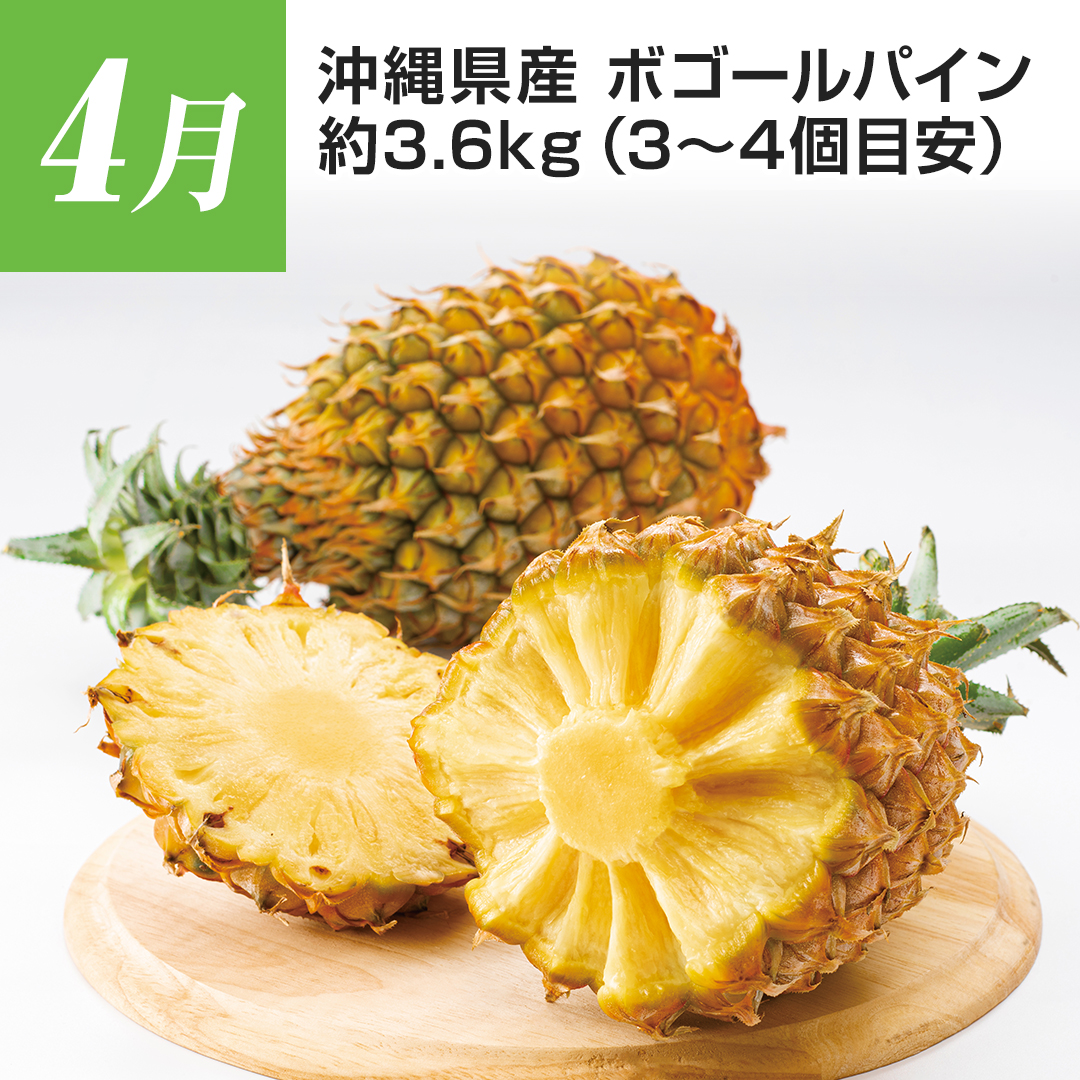 4���@���ꌧ�Y�@�{�S�[���p�C���@��3.6�s�i3�`4�ڈ��j