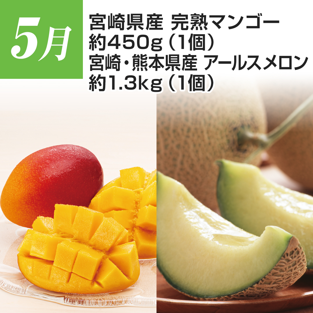 5���@�{�茧�Y�@���n�}���S�[�@��450g�i1�j �{��E�F�{���Y�@�A�[���X�������@��1.3kg�i1�j