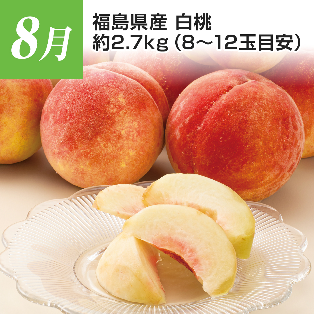 8���@�������Y�@�����@��2.7kg�i8�`12�ʖڈ��j