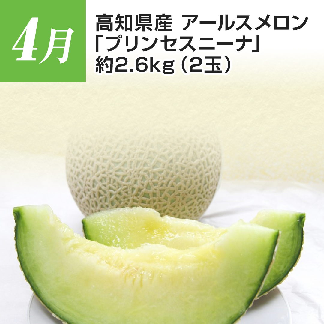 4���@���m���Y�@�A�[���X�������u�v�����Z�X�j�[�i�v�@��2.6�s�i2�ʁj