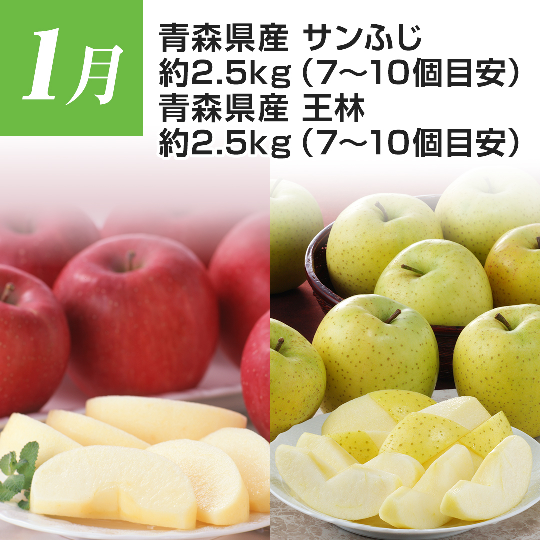 1���@�X���Y�@�T���ӂ��@��2.5�s�i7~10�ڈ��j�@�X���Y�@���с@��2.5�s�i7~10�ڈ��j