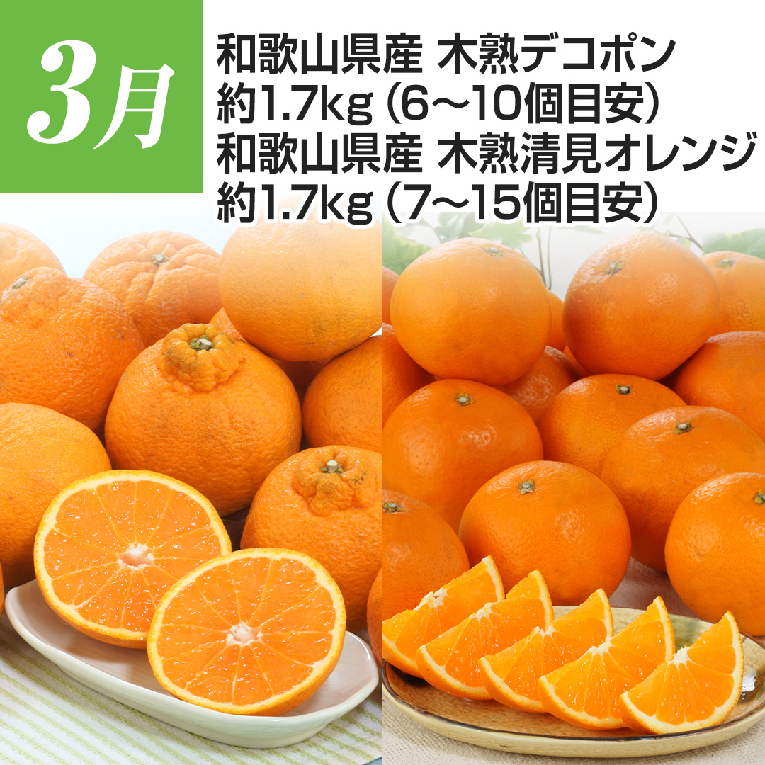 3���@�a�̎R���Y�@�؏n�f�R�|���@��1.7�s�i6~10�ڈ��j�@�a�̎R���Y�@�؏n�����I�����W�@��1.7�s�i7~15�ڈ��j