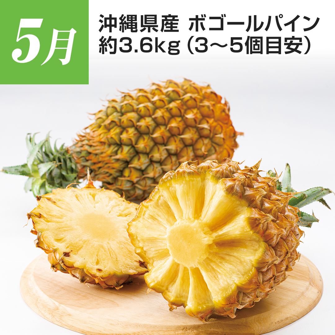 5���@���ꌧ�Y�@�{�S�[���p�C���@��3.6�s�i3~5�ڈ��j