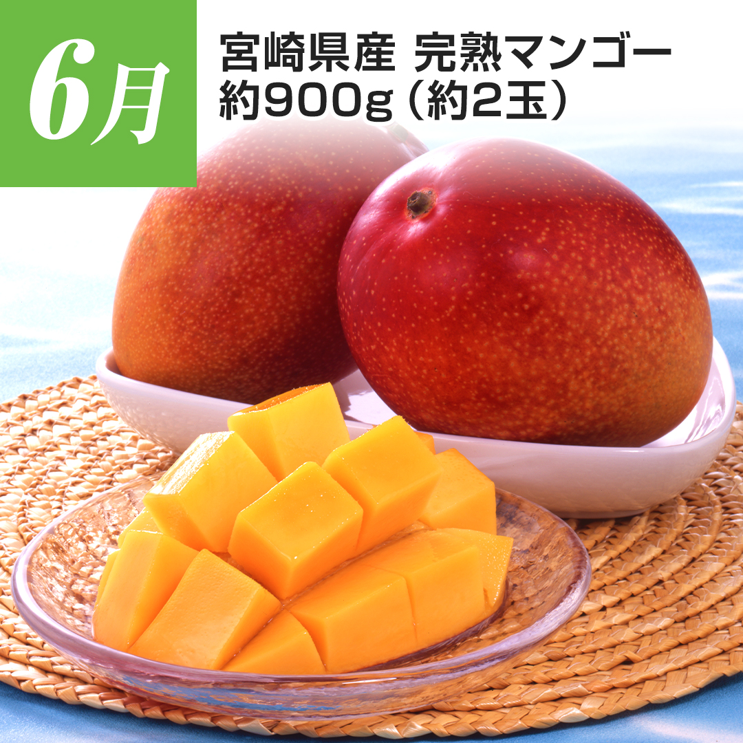 6���@�{�茧�Y�@���n�}���S�[�@��900g�i��2�ʁj