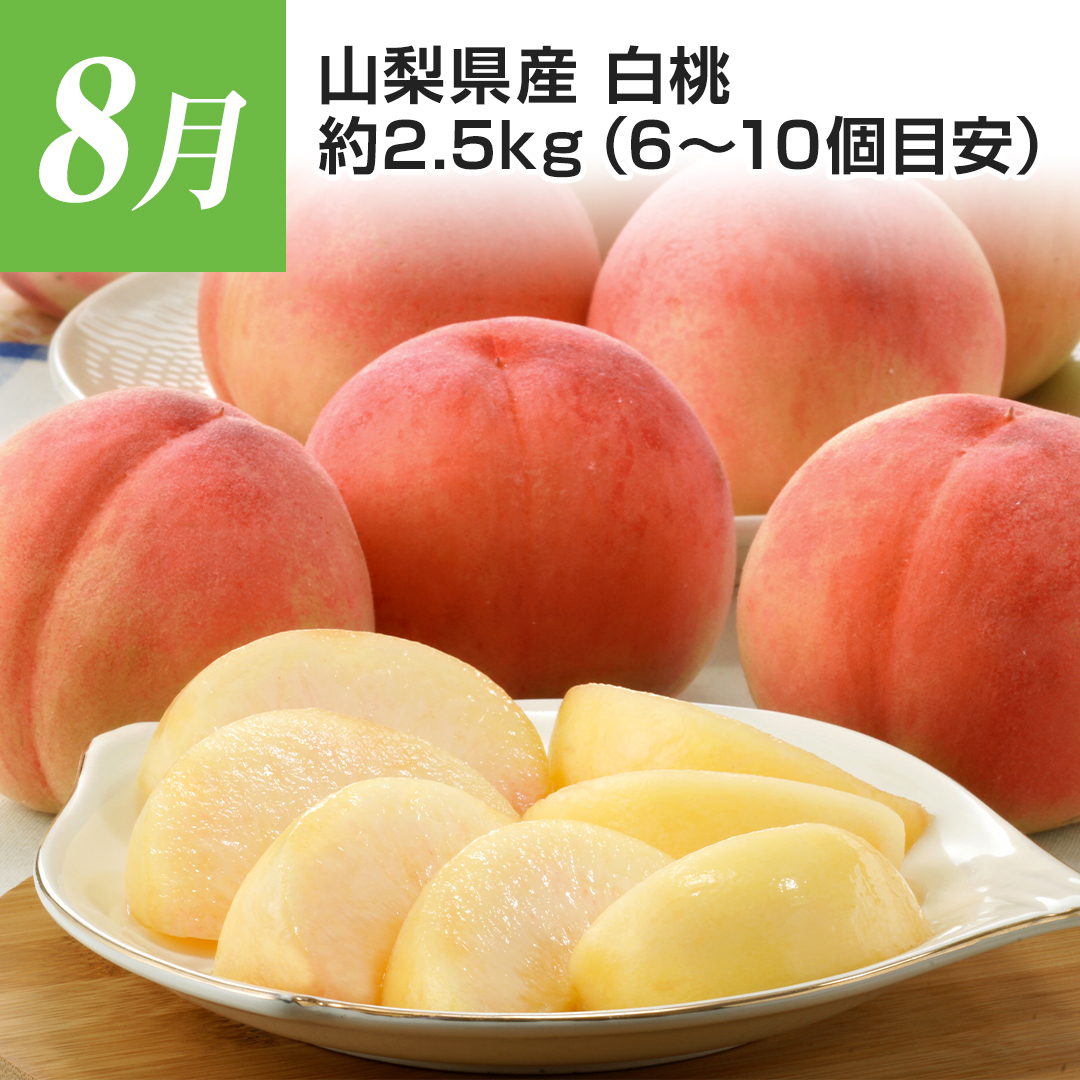 8���@�R�����Y�@�����@��2.5�s�i6~10�ڈ��j