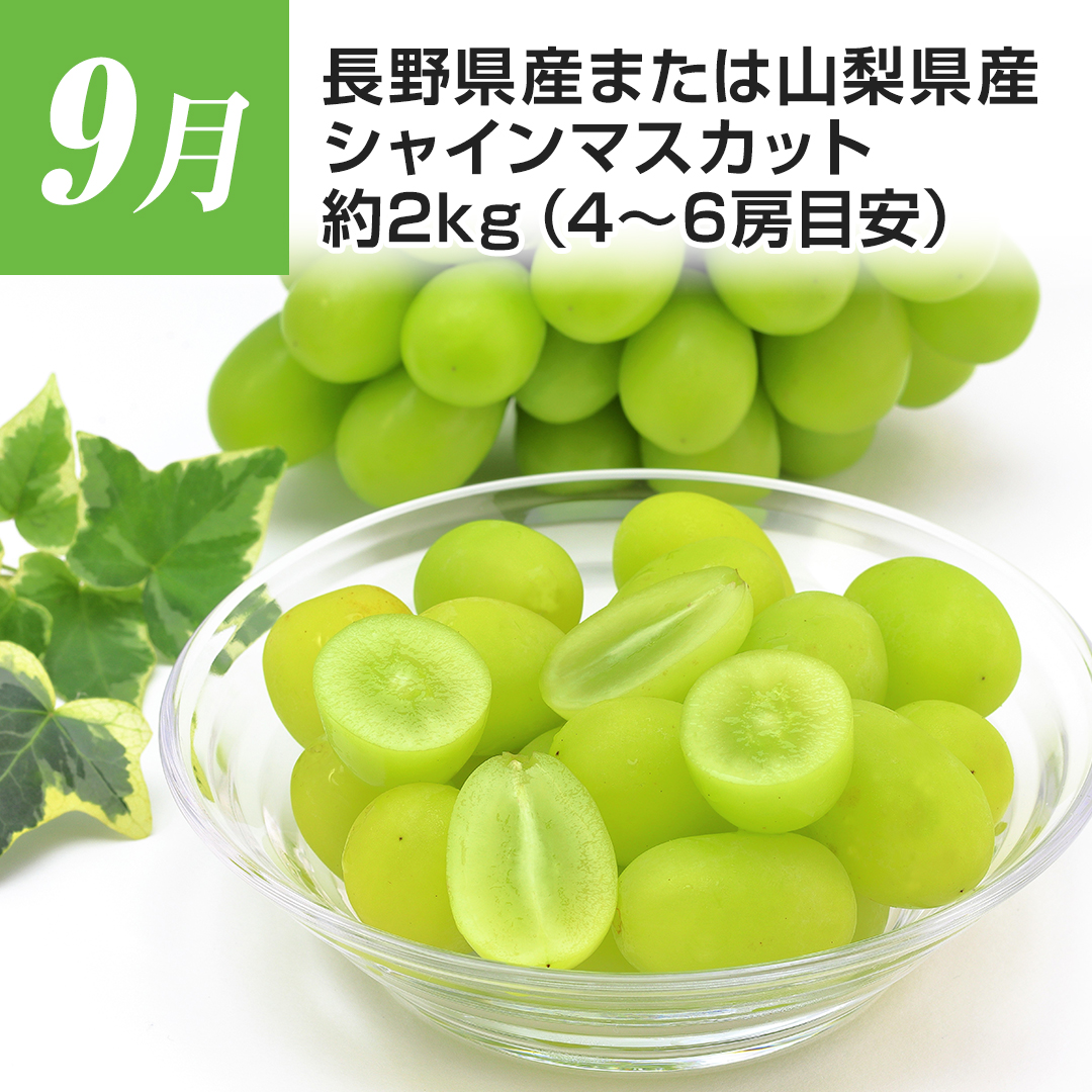 9���@���쌧�Y�܂��͎R�����Y�@�V���C�}�X�J�b�g�@��2�s�i4~6�[�ڈ��j