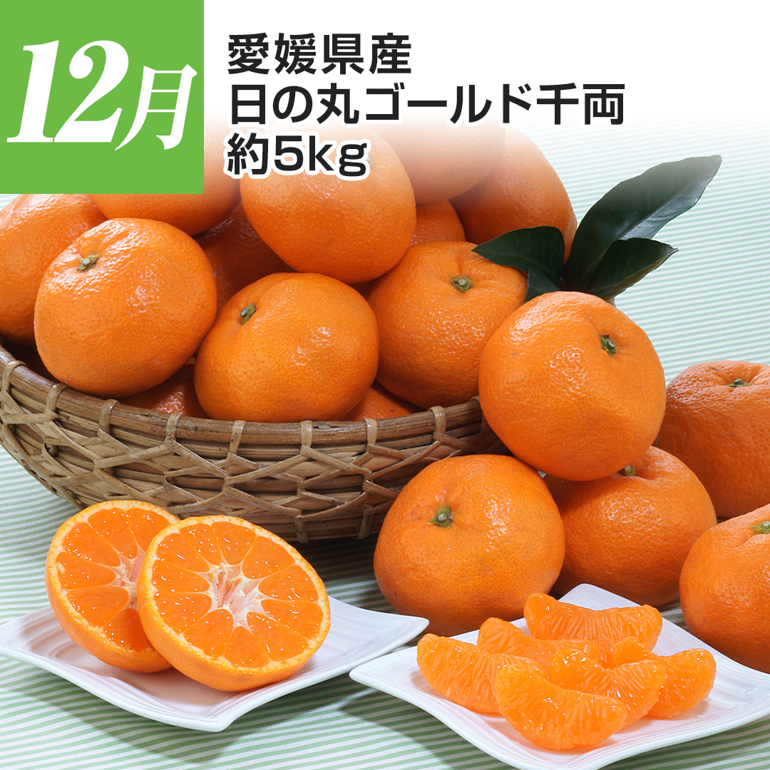 12���@���Q���Y�@���̊ۃS�[���h�痼�@��5�s