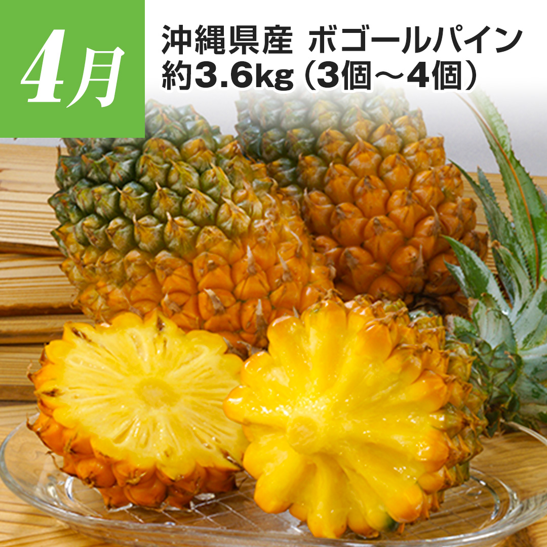 4�� ���ꌧ�Y �{�S�[���p�C�� ��3.6kg�i3��?4�j