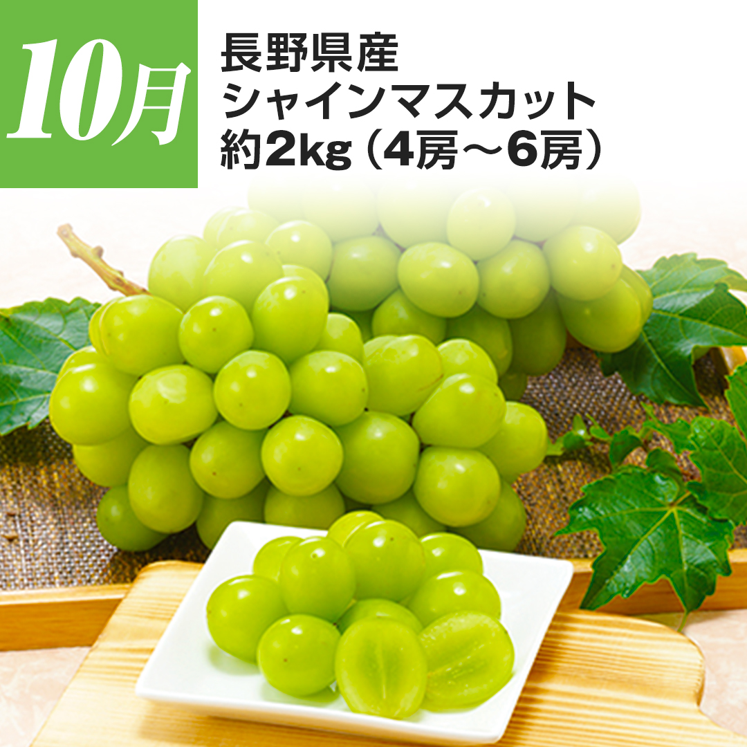 10�� ���쌧�Y �V���C���}�X�J�b�g ��2kg�i4�[?6�[�j