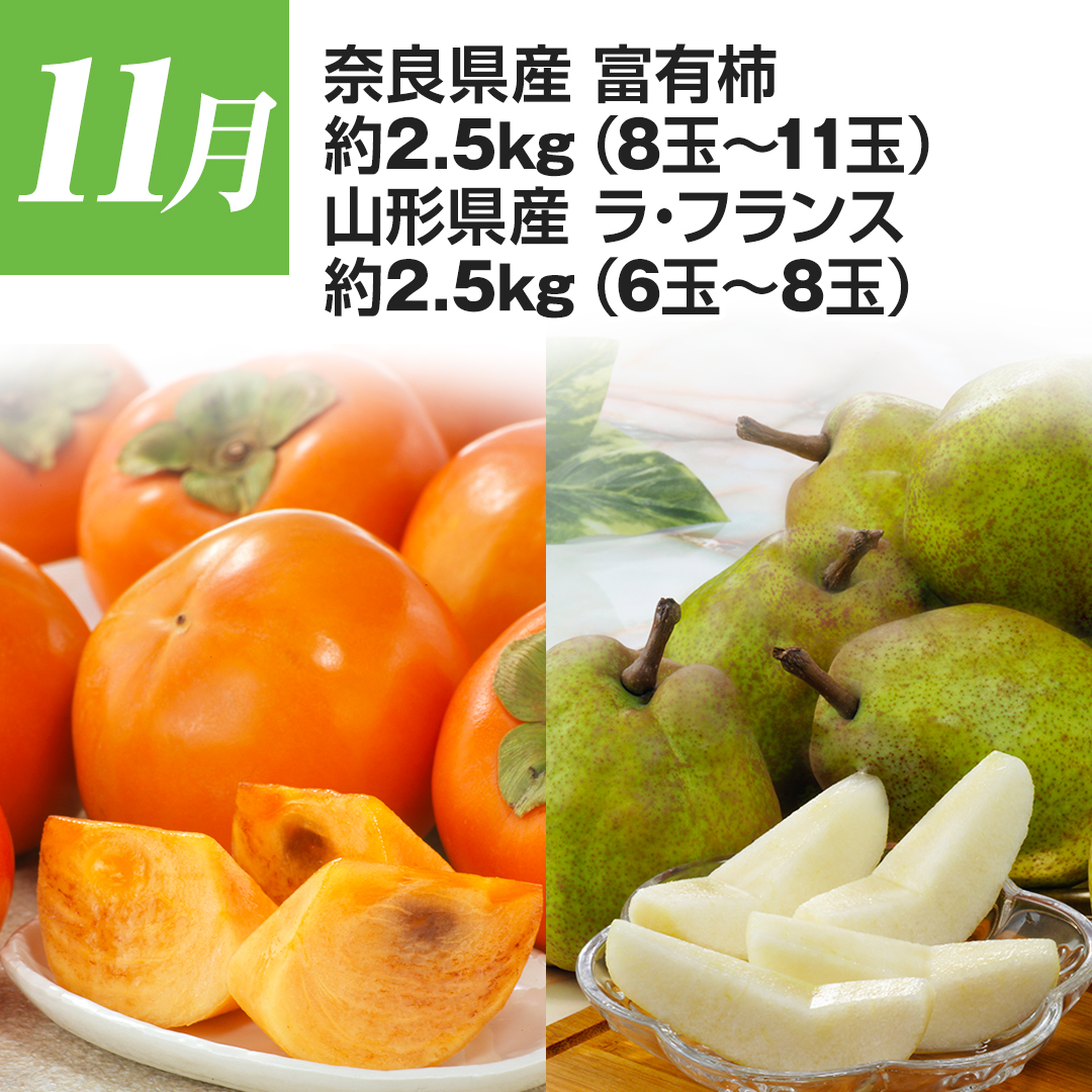 11�� �ޗǌ��Y �x�L�` ��2.5kg�i8��?11�ʁj�A�R�`���Y ���E�t�����X ��2.5kg�i6��?8�ʁj