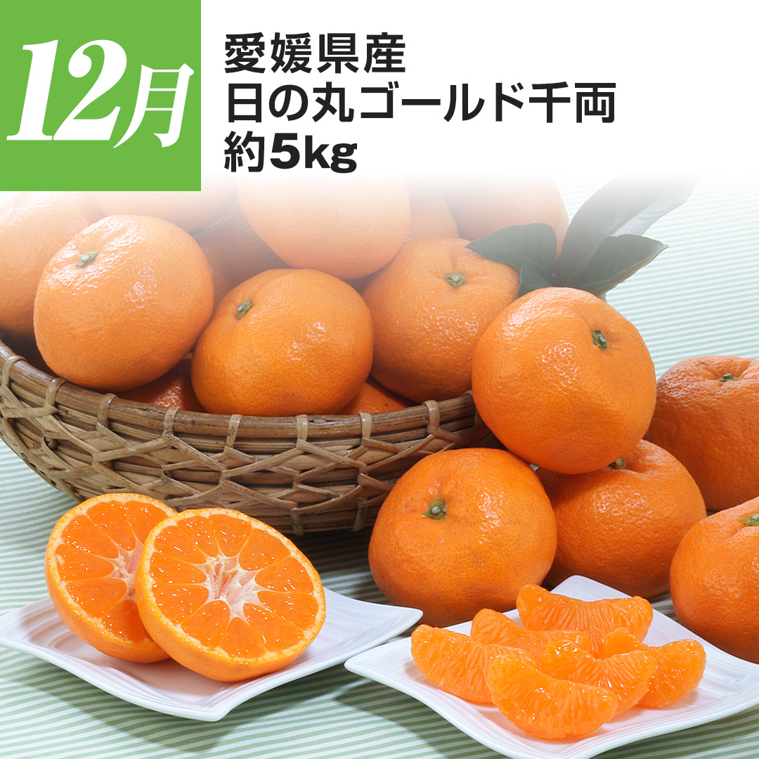 12�� ���Q���Y ���̊ۃS�[���h�痼 ��5kg