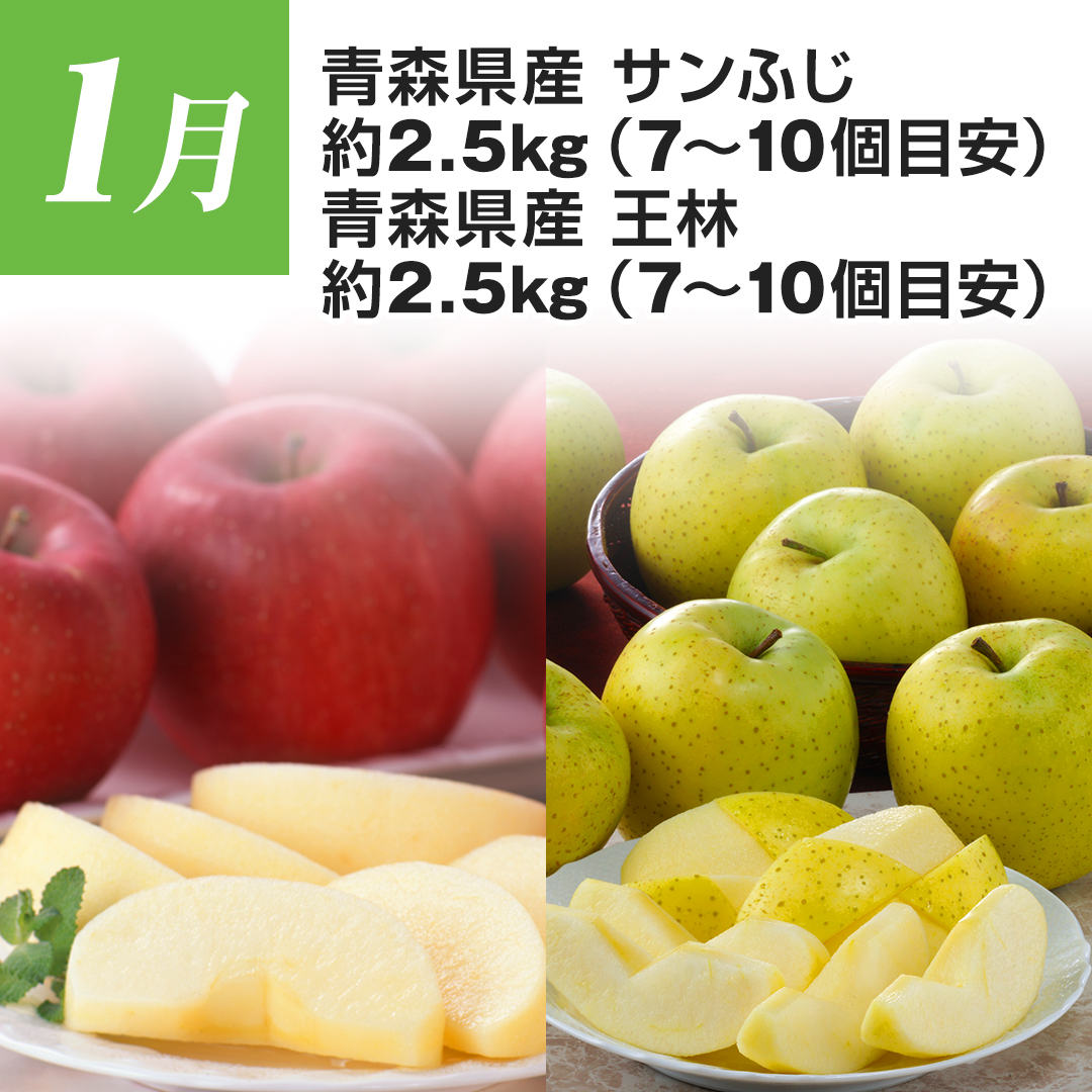 1�� �X���Y �T���ӂ��E���� �e��2.5kg�i7��?10�ڈ��j