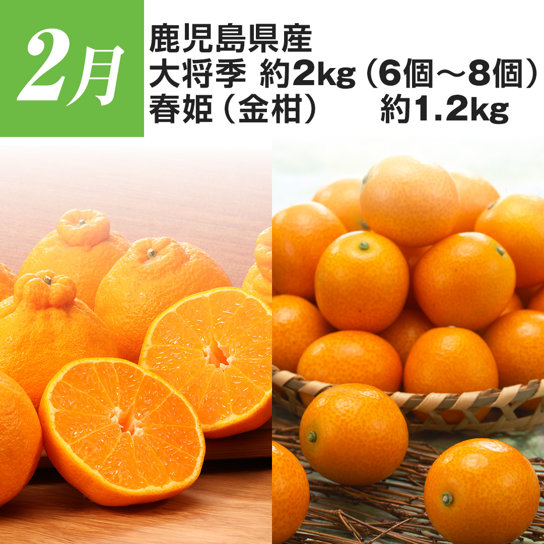 2�� ���������Y �叫�G ��2kg�i6��?8�j�t�P ��1.2kg