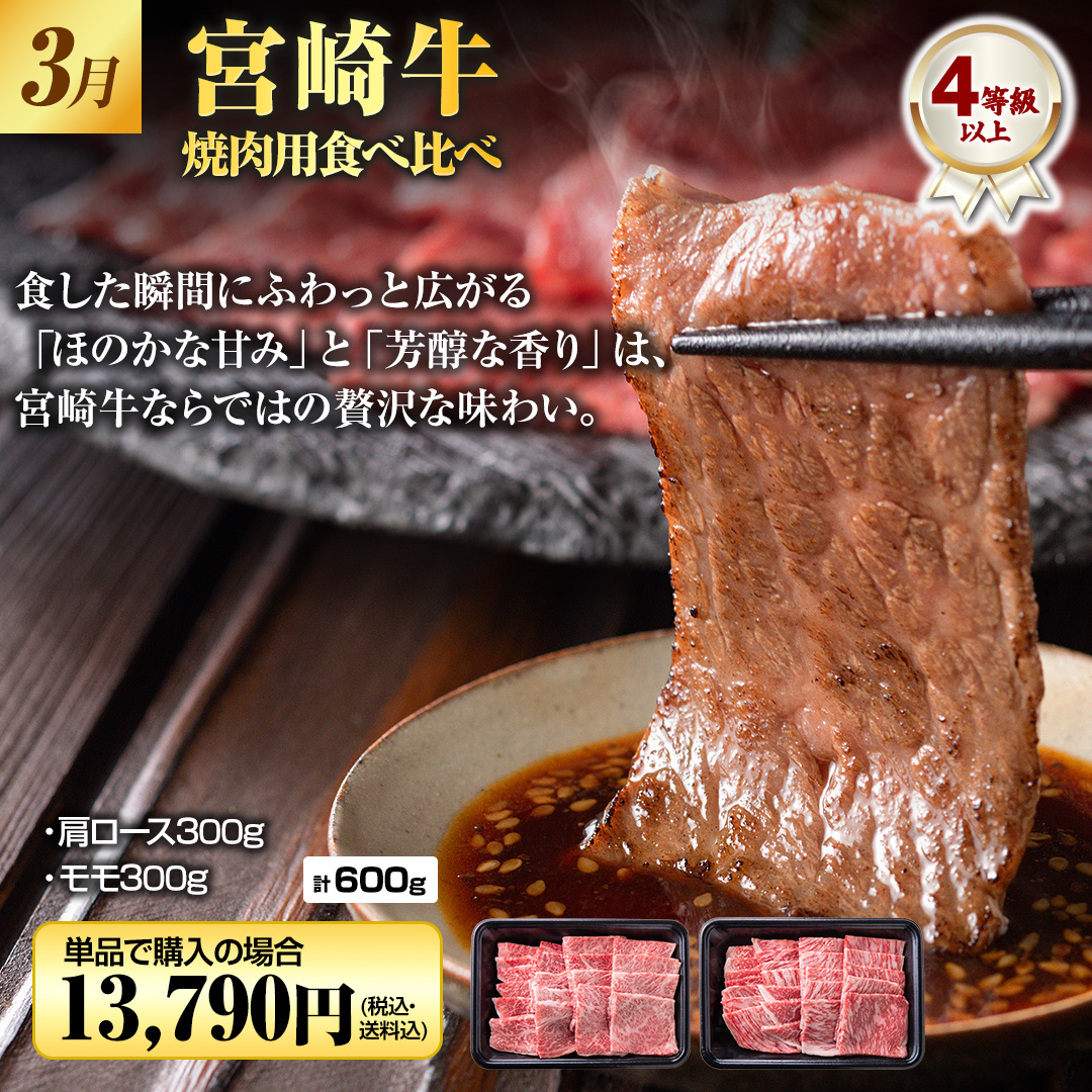 3�� �{�苍 �ē��p�H�ה�ׁi�����[�X300g�A����300g�@�v600g�j