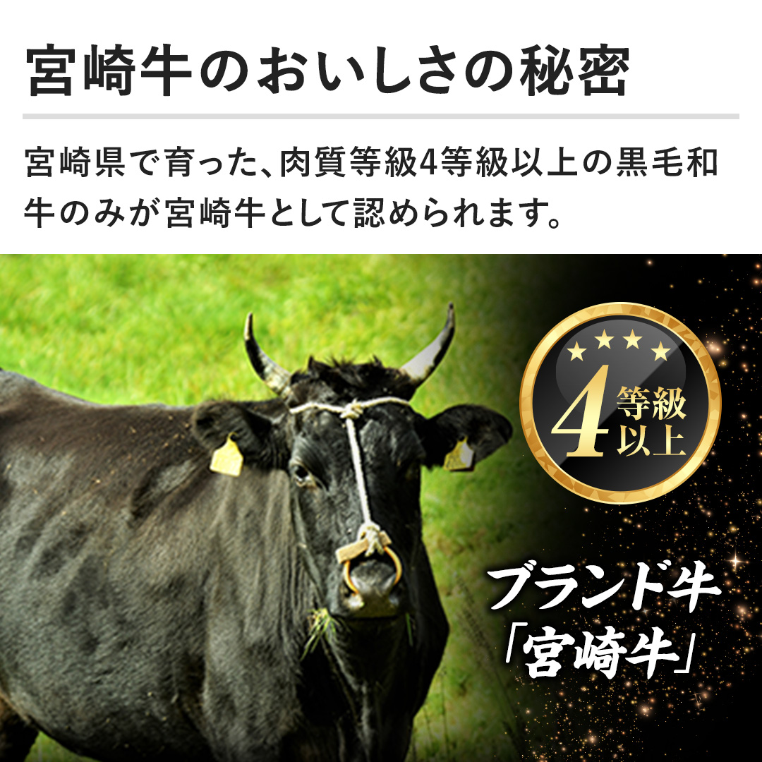 y{苍̔閧z{茧ňA4ȏ̍јâ݂{苍ƂĔF߂܂B