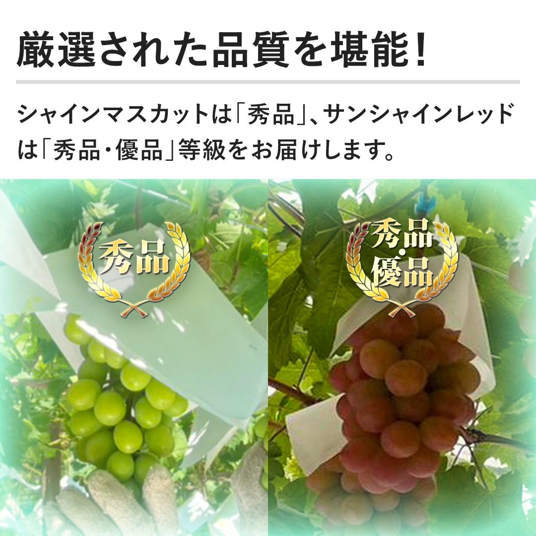 �y���I���ꂽ�i�������\�I�z�V���C���}�X�J�b�g�́u�G�i�v�A�T���V���C�����b�h�́u�G�i�E�D�i�v���������͂����܂��B