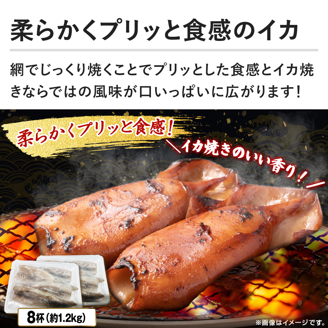 �y�_�炩���v�����ƐH���̃C�J�z�Ԃł�������Ă����ƂŃv���b�Ƃ����H���ƃC�J�Ă��Ȃ�ł͂̕������������ς��ɍL����܂��I
