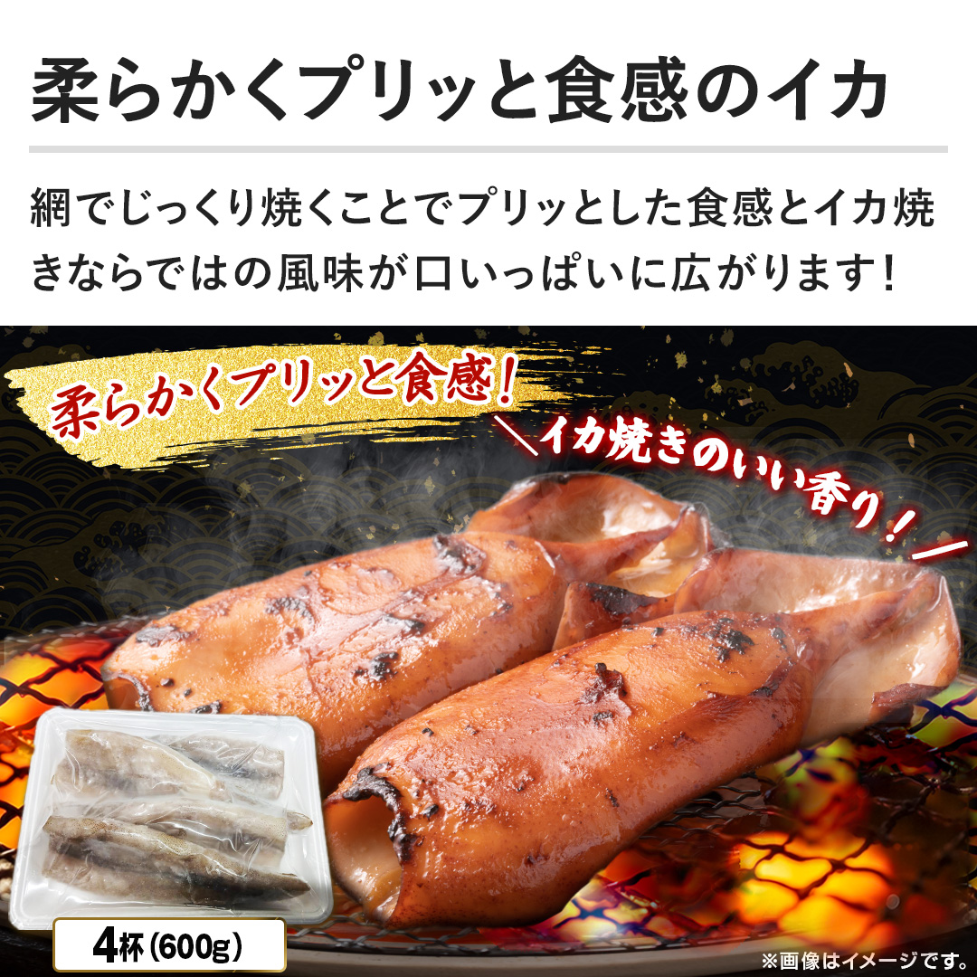 �y�_�炩���v���b�ƐH���̃C�J�z�Ԃł�������Ă����ƂŃv���b�Ƃ����H���ƃC�J�Ă��Ȃ�ł͂̕������������ς��ɍL����܂��I