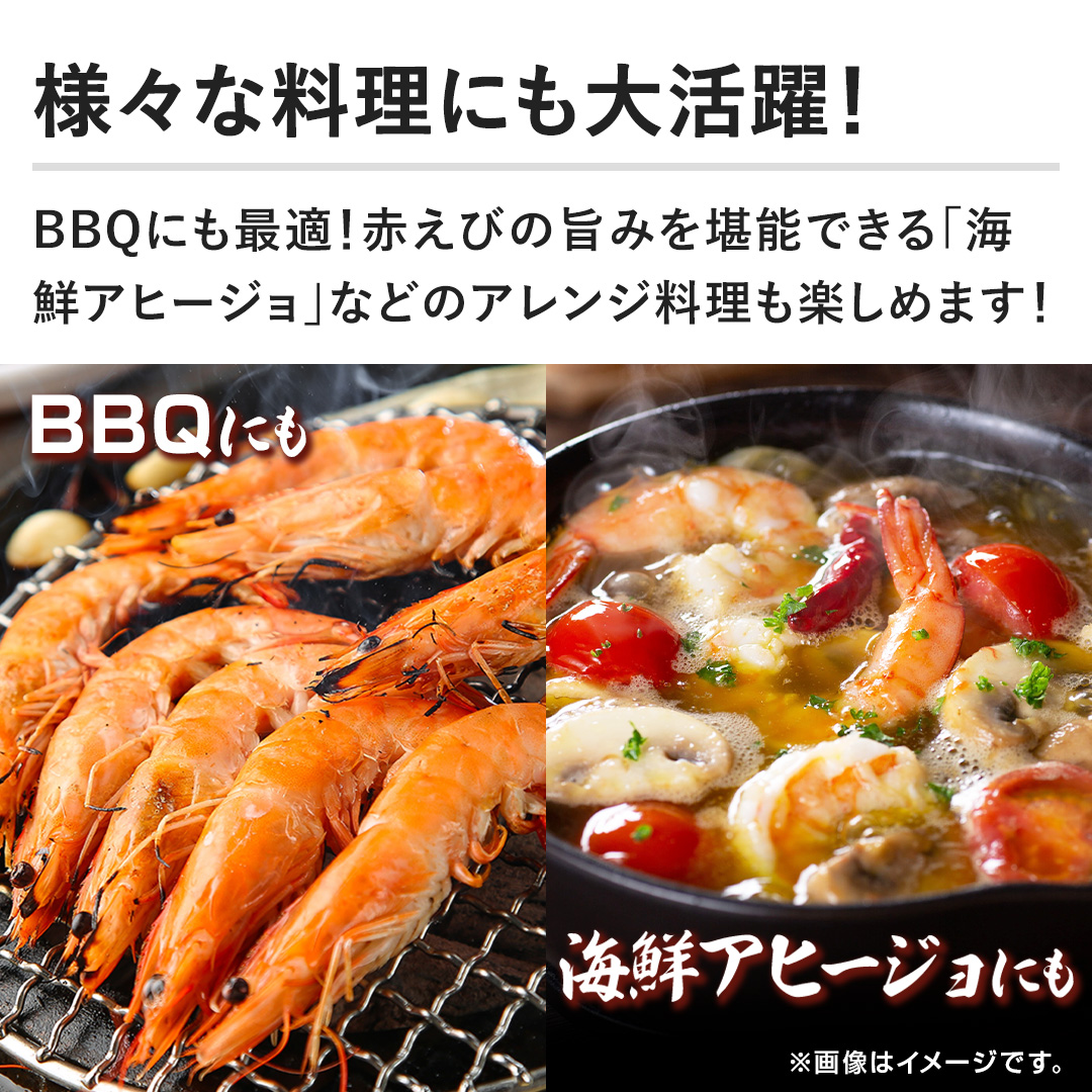 �y�l�X�ȗ����ɂ��劈��I�zBBQ�ɂ��œK�I�Ԃ��т̎|�݂����\�ł���u�C�N�A�q�[�W���v�Ȃǂ̃A�����W�������y���߂܂��I
