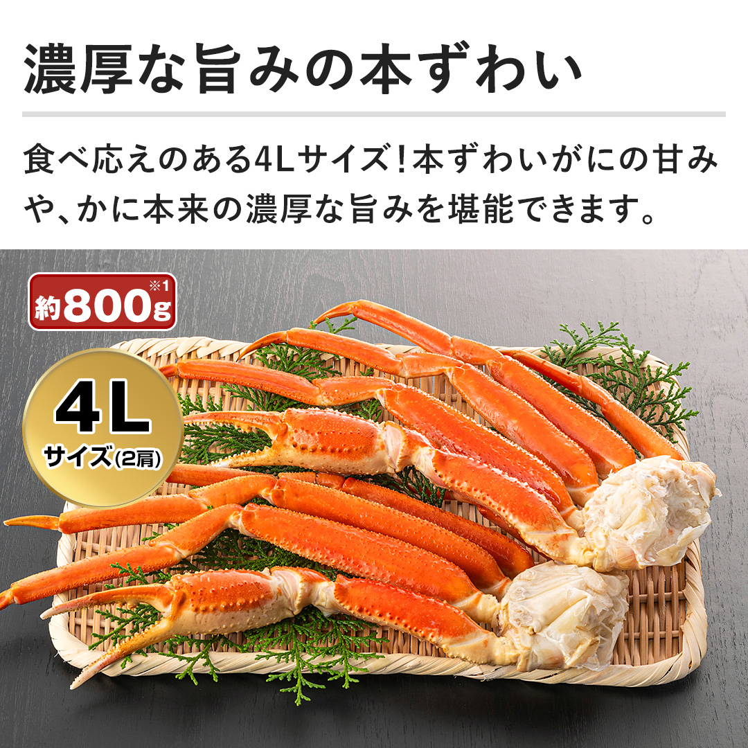 ZȎ|݂̖{킢@H׉̂4LTCYI{킢ɂ̊Â݂₩ɖ{̔ZȎ|݂\ł܂B