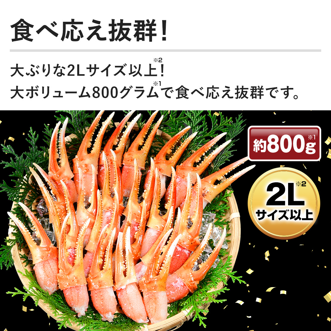 yH׉QIzԂ2LTCYȏI{[800OŐH׉QłB