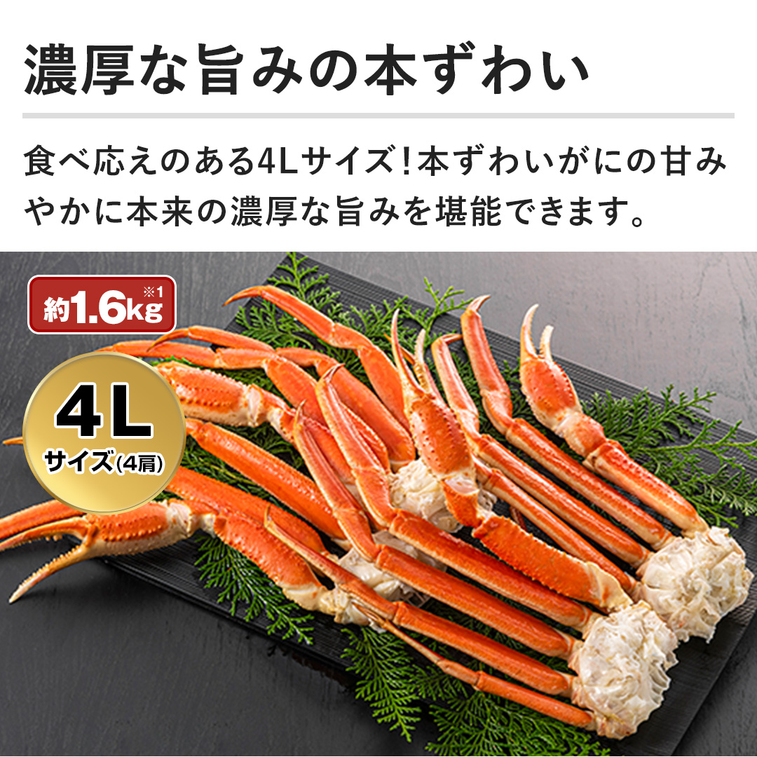 ZȎ|݂̖{킢@H׉̂4LTCYI{킢ɂ̊Â݂₩ɖ{̔ZȎ|݂\ł܂B