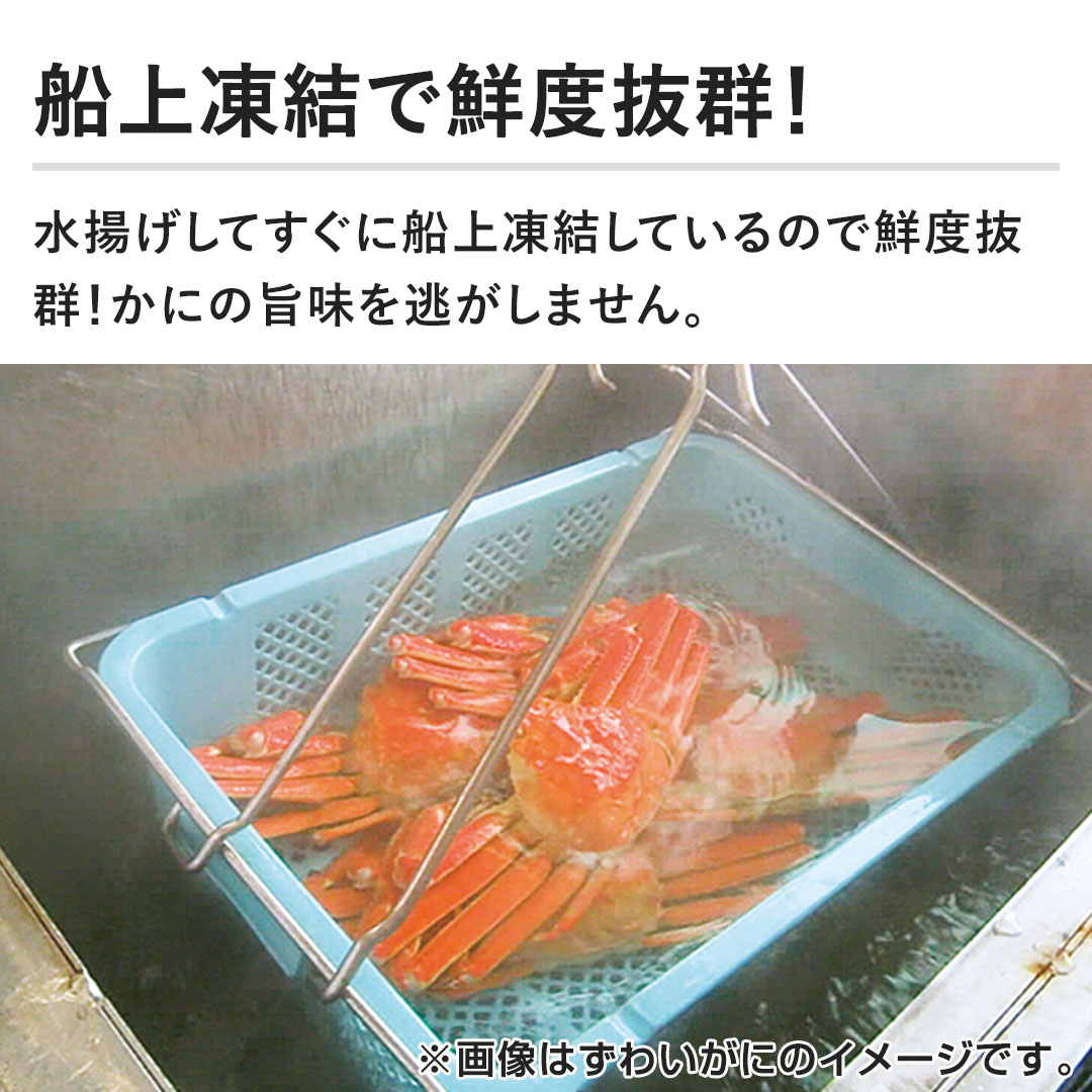 yD㓀őNxQIzgĂɑD㓀Ă̂őNxQIɂ̎|݂𓦂܂B