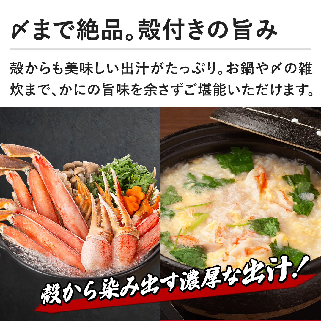 yY܂ŐiBkt̎|݁zko`ՂB́Y̎G܂ŁAɂ̎|]\܂B