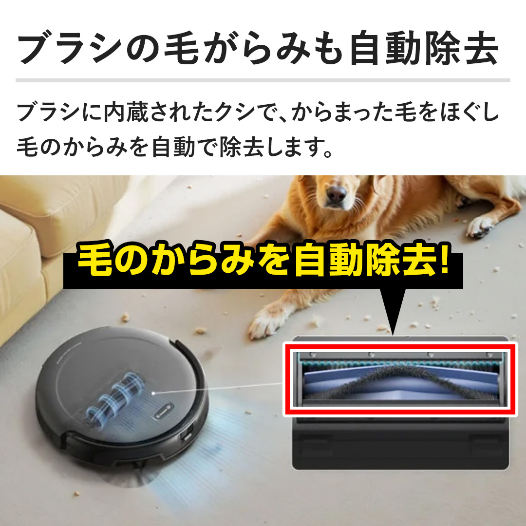 �y�u���V�̖т���݂����������z�u���V�ɓ������ꂽ�N�V�ŁA����܂����т��ق����т̂���݂������ŏ������܂��B