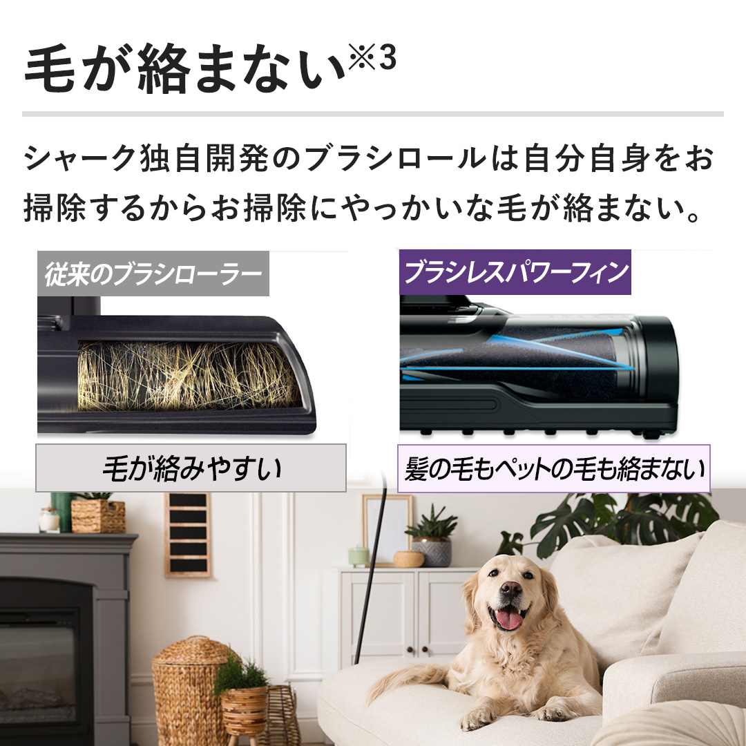 �y�т����܂Ȃ��z�V���[�N�Ǝ��J���̃u���V���[���͎������g�����|�����邩�炨�|���ɂ�������Ȗт����܂Ȃ��B