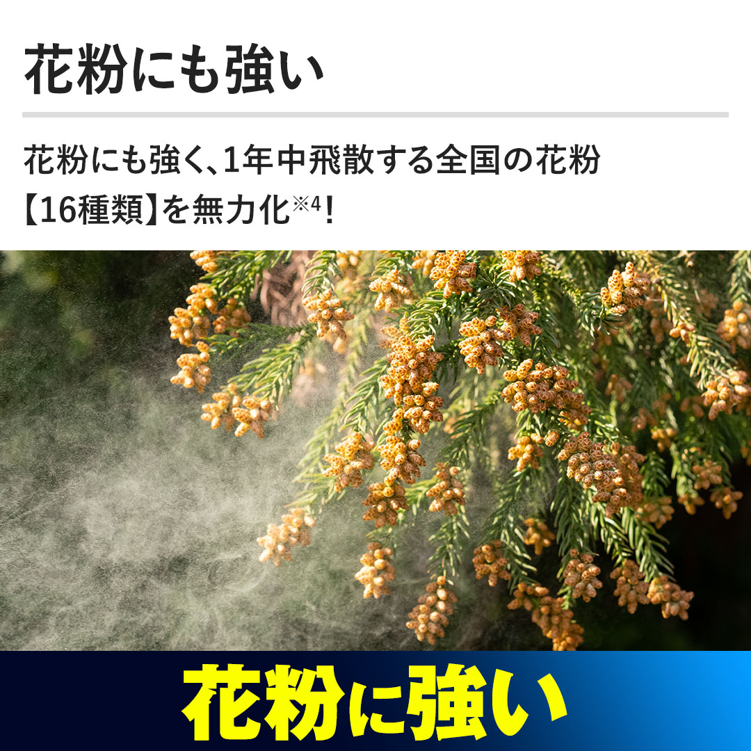 �y�ԕ��ɂ������z�ԕ��ɂ������A1�N����U����S���̉ԕ��y16��ށz�𖳗͉��I