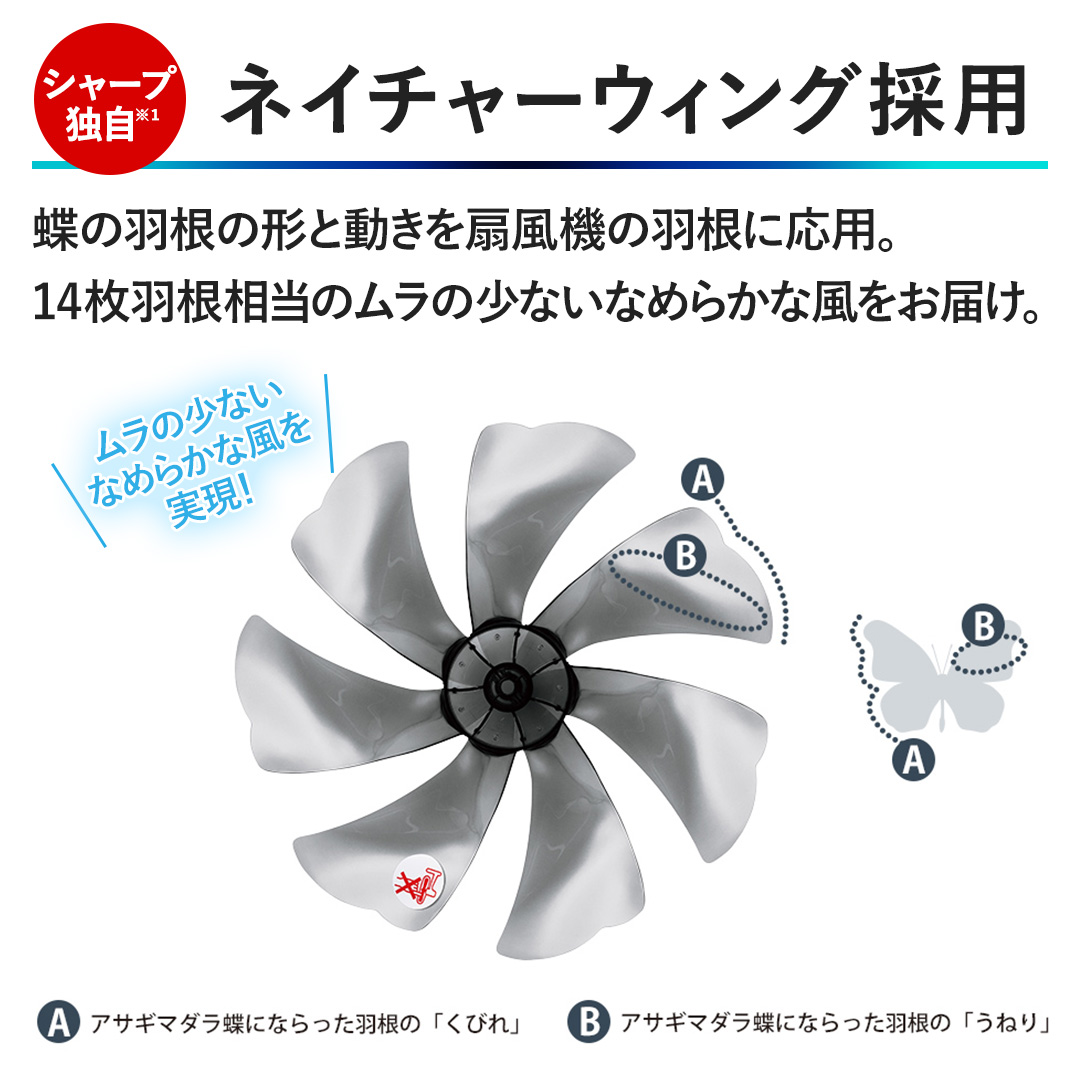 �y�V���[�v�Ǝ��B�l�C�`���[�E�C���O�̗p�z���̉H���̌`�Ɠ������@�̉H���ɉ��p�B14���H�������̃����̏��Ȃ��Ȃ߂炩�ȕ������͂��B