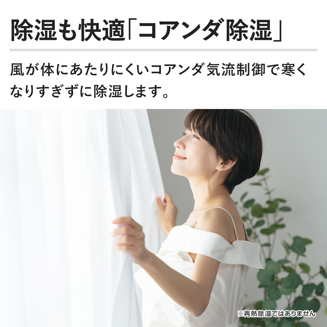 �y���������K�u�R�A���_�����v�z�����̂ɂ�����ɂ����R�A���_�C������Ŋ����Ȃ肷�����ɏ������܂��B