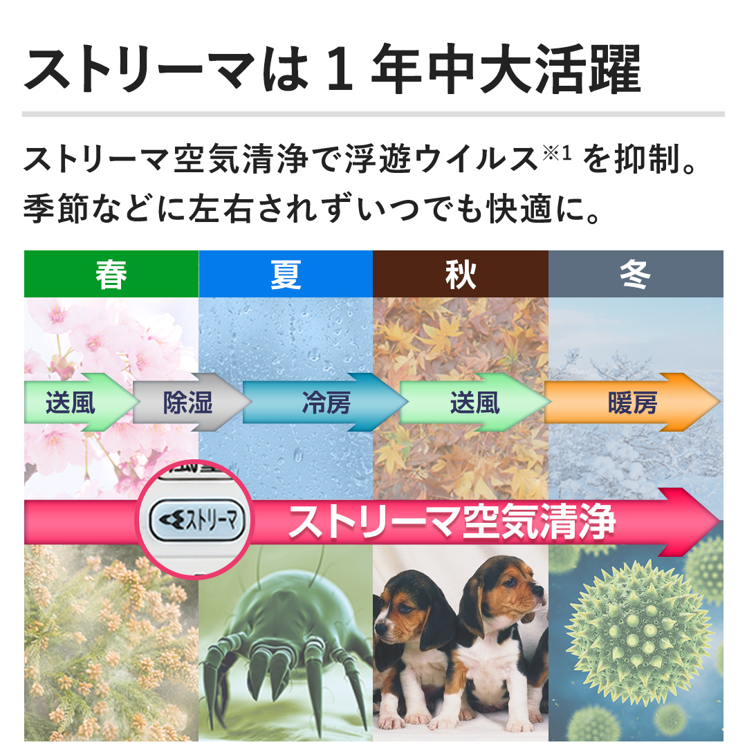 yXg[}1N劈zXg[}CŕVECX}BG߂ȂǂɍEꂸłKɁB