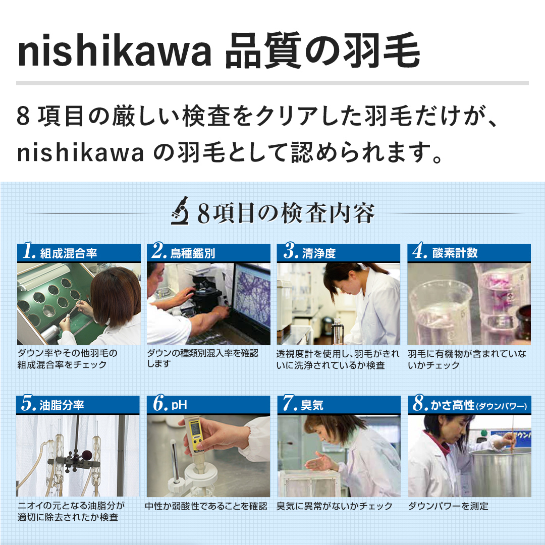 nisikawaỉHс@8ڂ̌NAHтAnisikawảHтƂĔF߂܂B