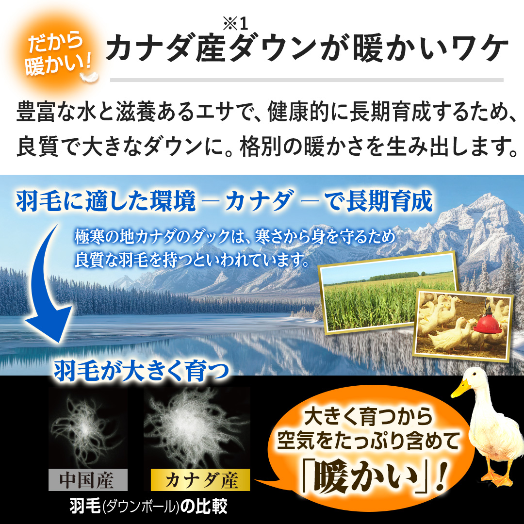 �y�J�i�_�Y�_�E�����g�������P�z�L�x�Ȑ��Ǝ��{����G�T�ŁA���N�I�ɒ����琬���邽�߁A�ǎ��ő傫�ȃ_�E���ɁB�i�ʂ̒g�����𐶂ݏo���܂��B