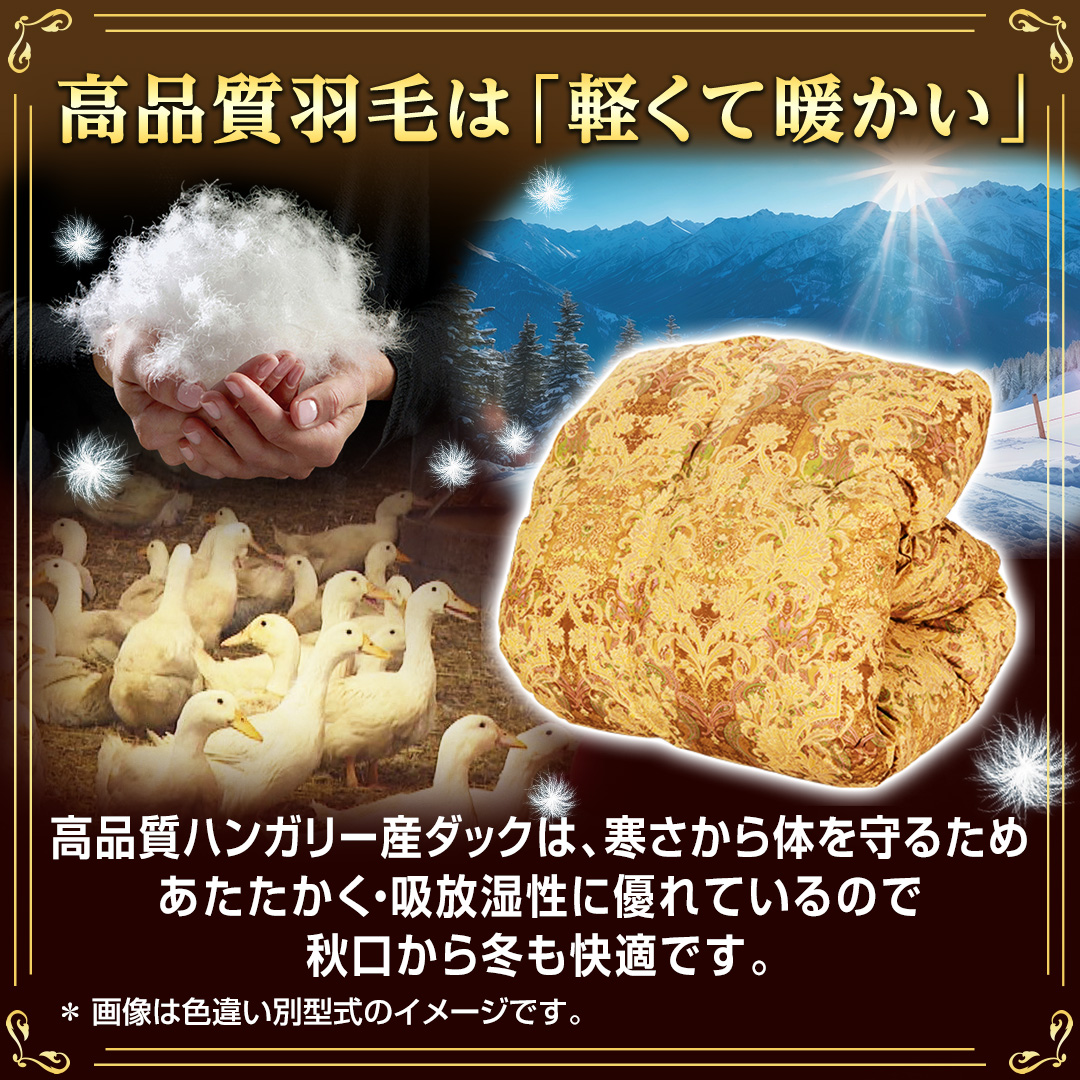 �y���i���H�т́u�y���Ēg�����v�z���i���n���K���[�Y�_�b�N�́A��������̂���邽�߂����������A�z�������ɗD��Ă���̂ŏH������~�����K�ł��B